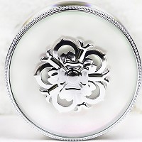 蝶妮王妃 私人定制 D霜30g(绿色膏体)小白瓶(老款 淡暗美肤霜)祛黄/祛印