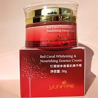 尹姬 净透瓷肌精华霜50g 净透雪肌精华霜 日夜均衡滋养、提亮肤色、亮白水盈